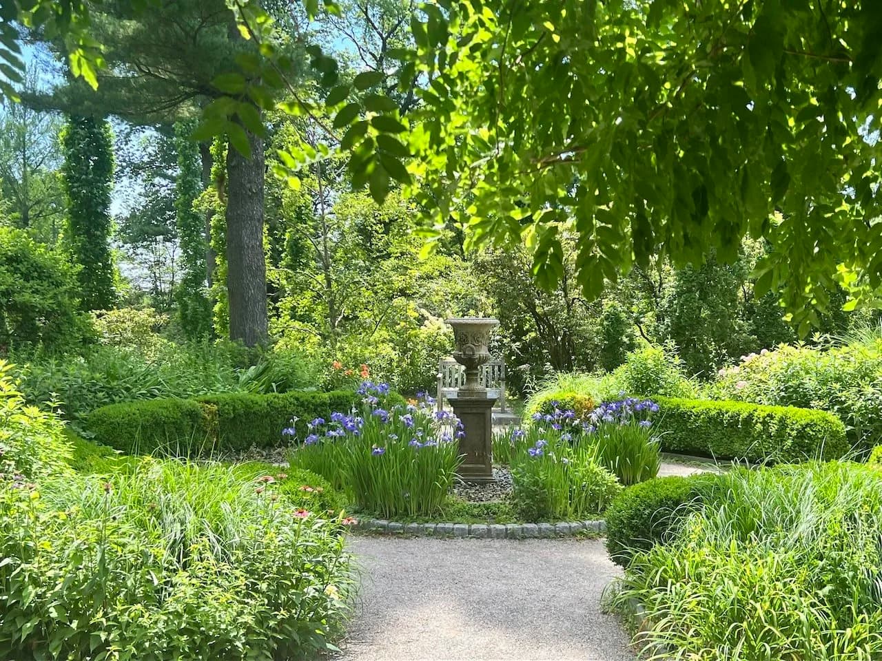 A quiet formal garden with blue irises around a stone urn, framed by clipped hedges and shade trees
